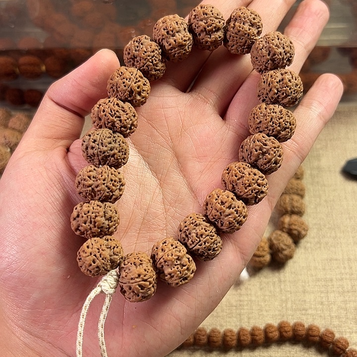 菩提籽类卡16大蜂王