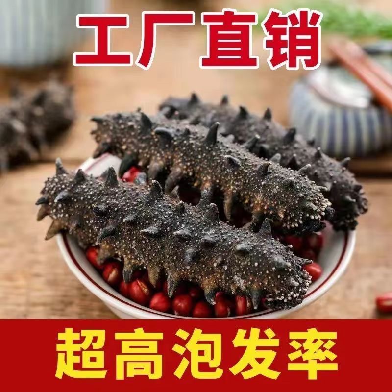 滋鲜湾海洋岛深海海参辽参110-140头大连国标辽刺参(捡漏款）海鲜