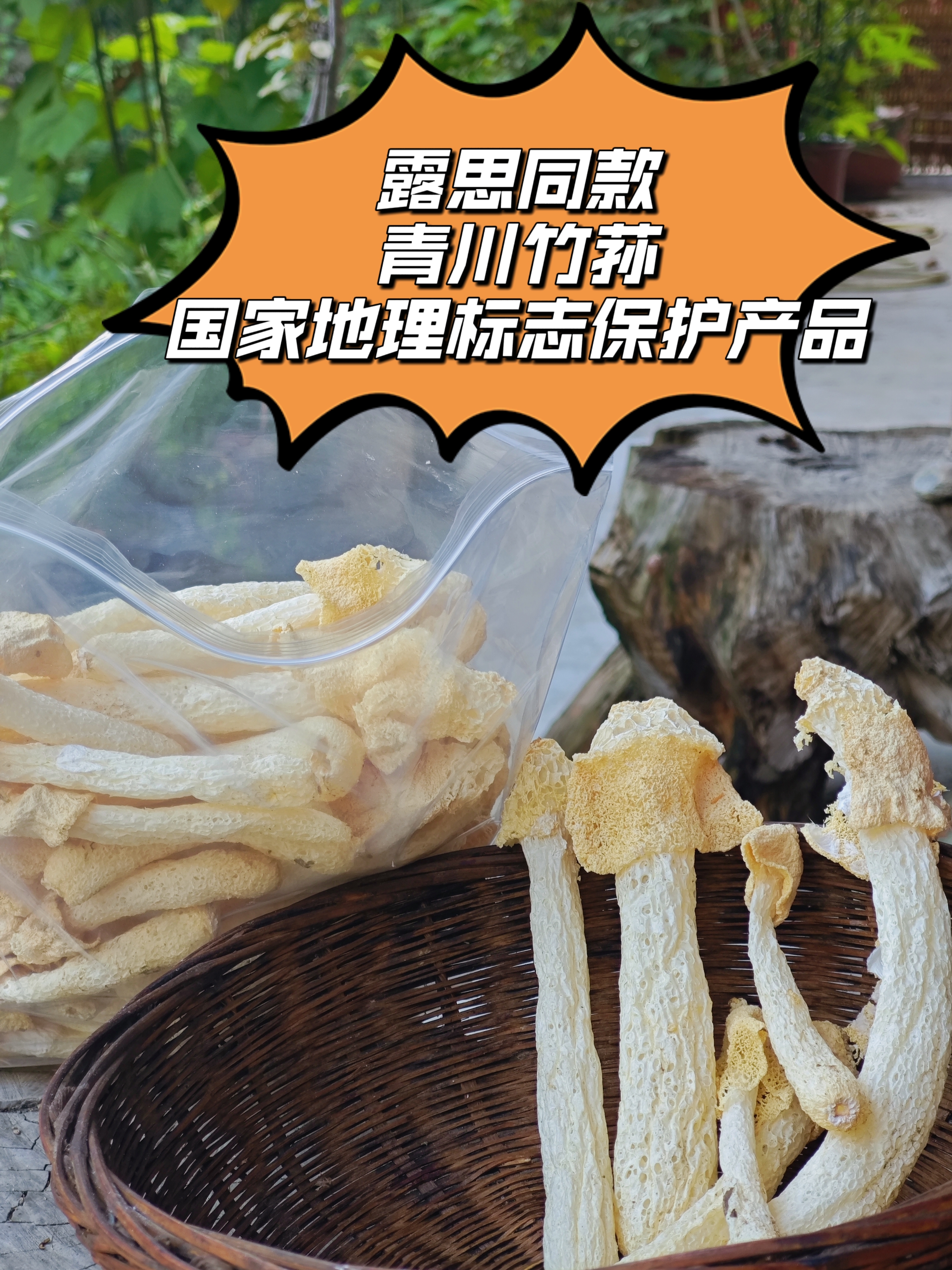 （露思同款）青川农家自种竹荪干货2025年新货