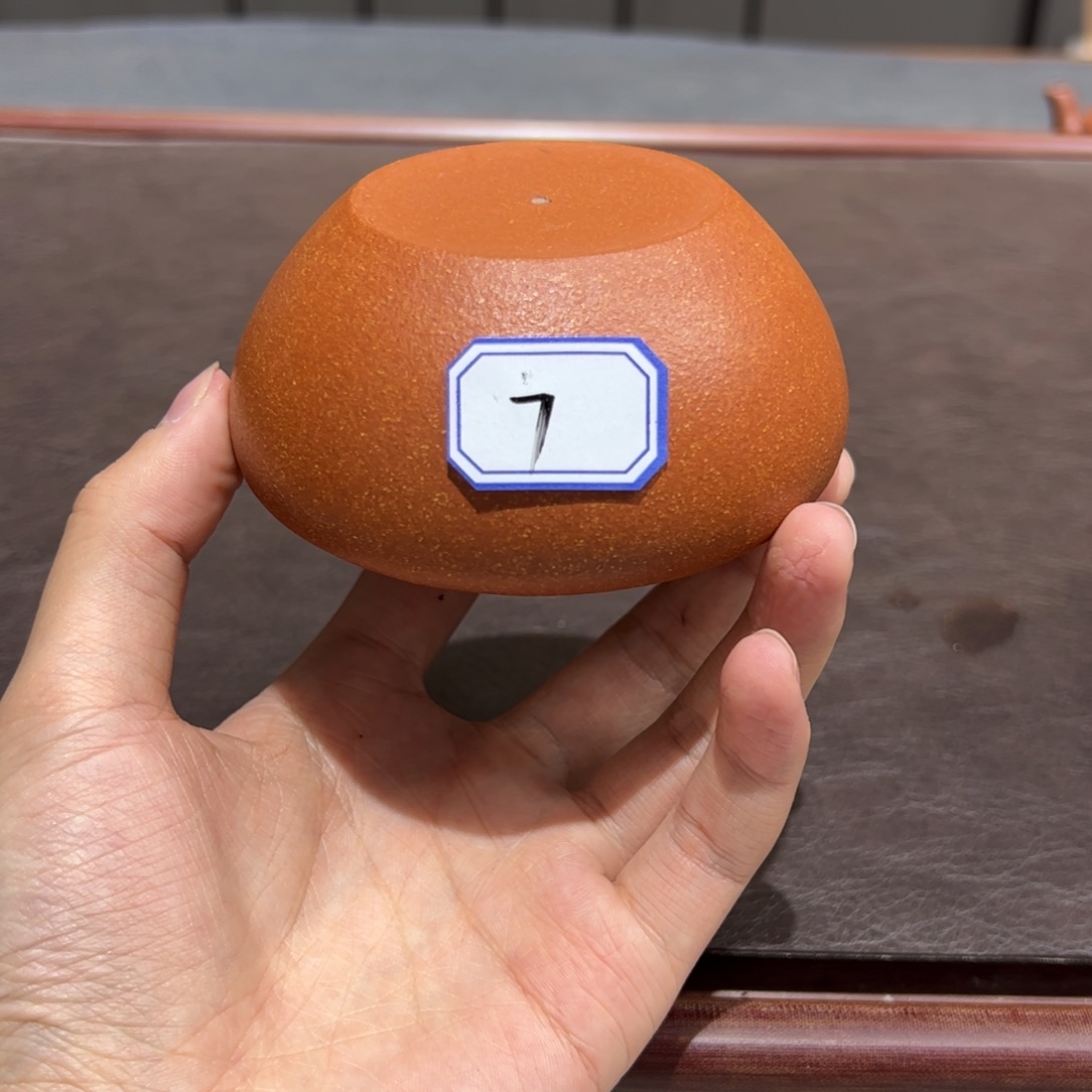 宜兴紫砂壶泡茶喝