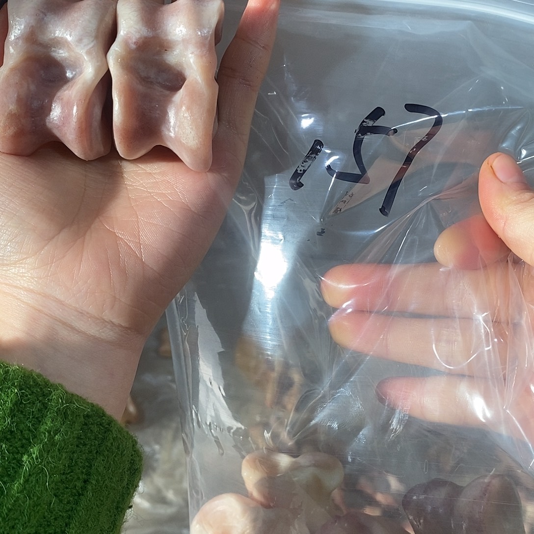 一***十非金属鹿骨鹿骨鹿骨