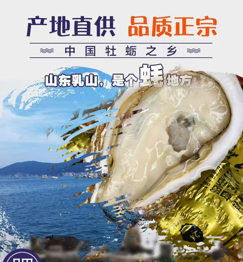 【小夕专属】乳山生蚝牡蛎源产地现捞直发 鲜活到家 8斤装 顺丰发货