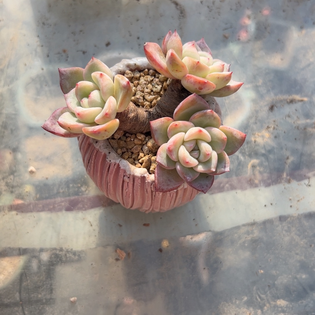 j***n481满38包邮一物一拍