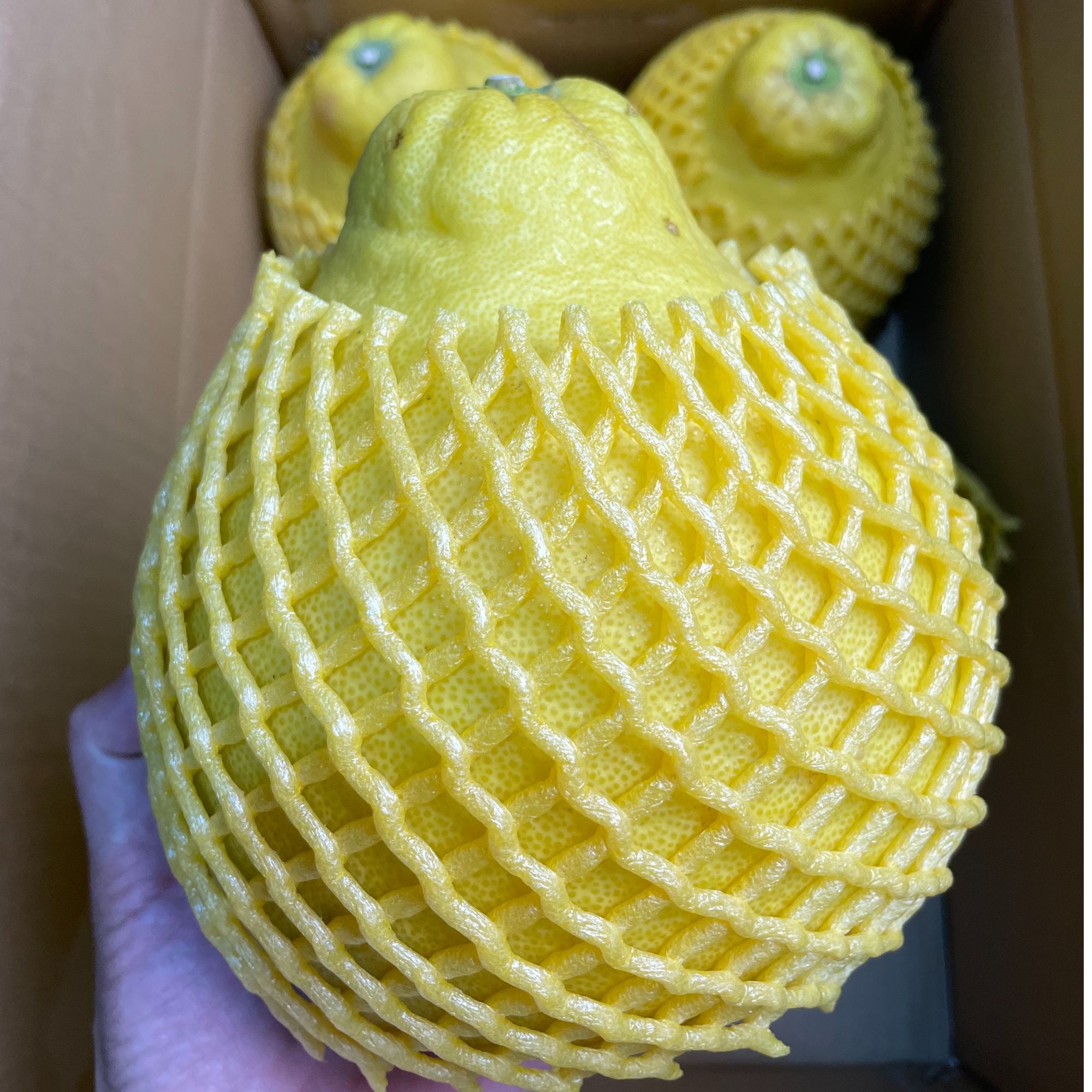 （礼袋礼盒）精品大果沙田柚现挑现场打包速抢（包邮上货上门）