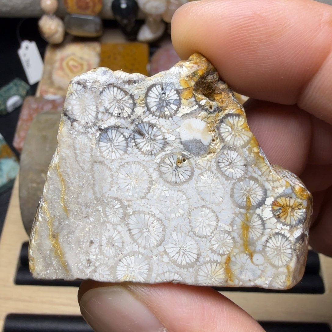 硅化玉未镶嵌天然色有机玉石保真色