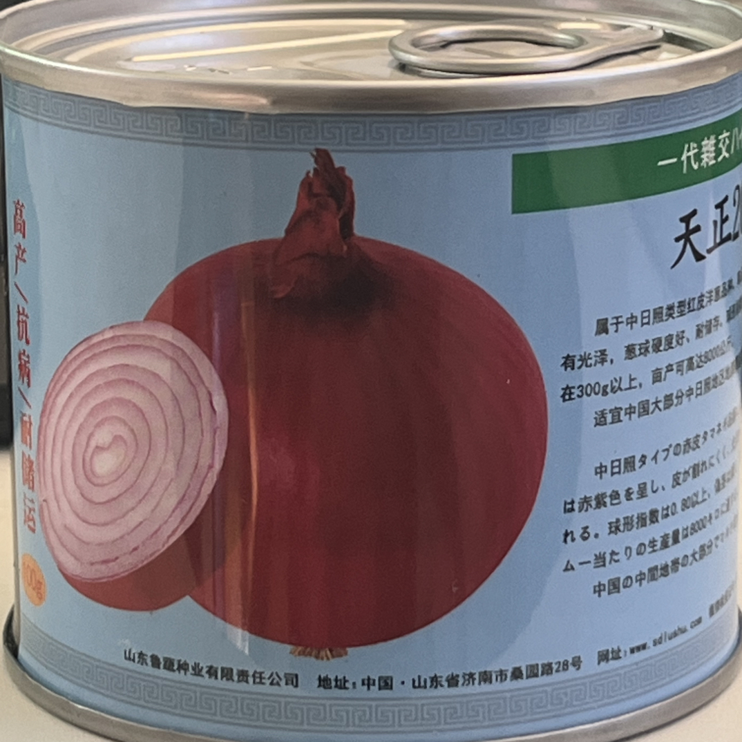天正201 早熟 中日照 红葱 100克