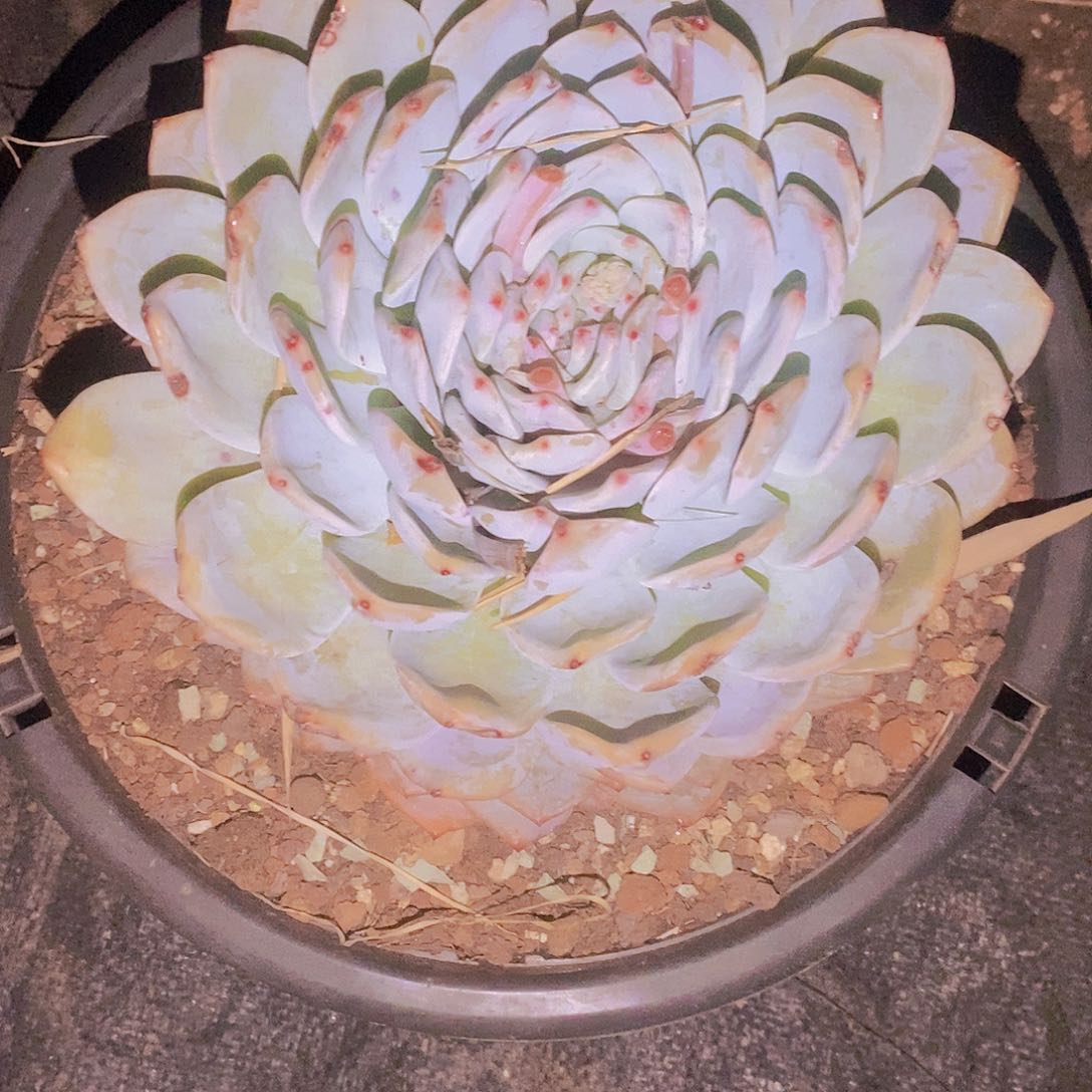 往**烟破咯嘛不接咯我又不接你咯嘛