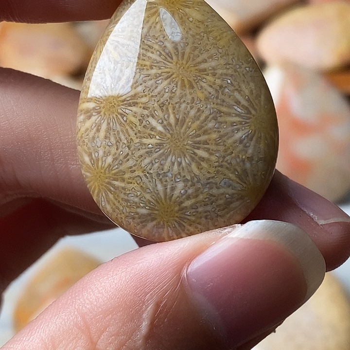 H***芳硅化珊瑚未镶嵌颈饰