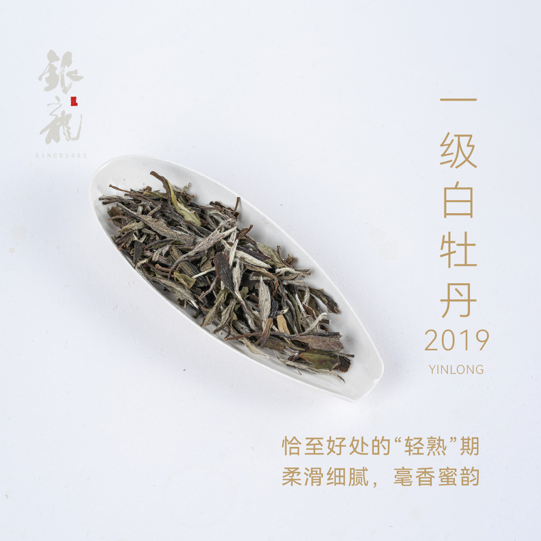 【2019一级白牡丹】银龙 白茶 一级白牡丹