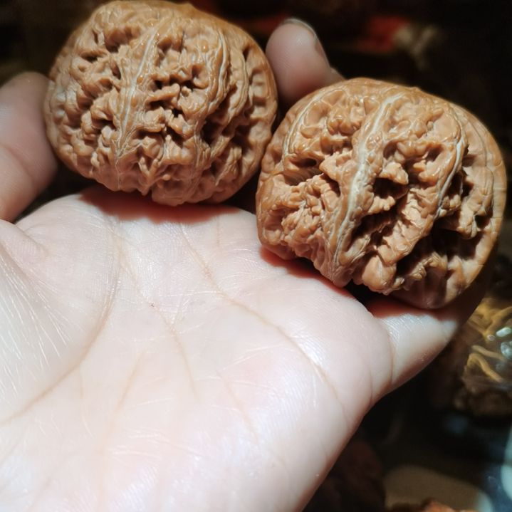 猴头核桃吊坠47粗筋