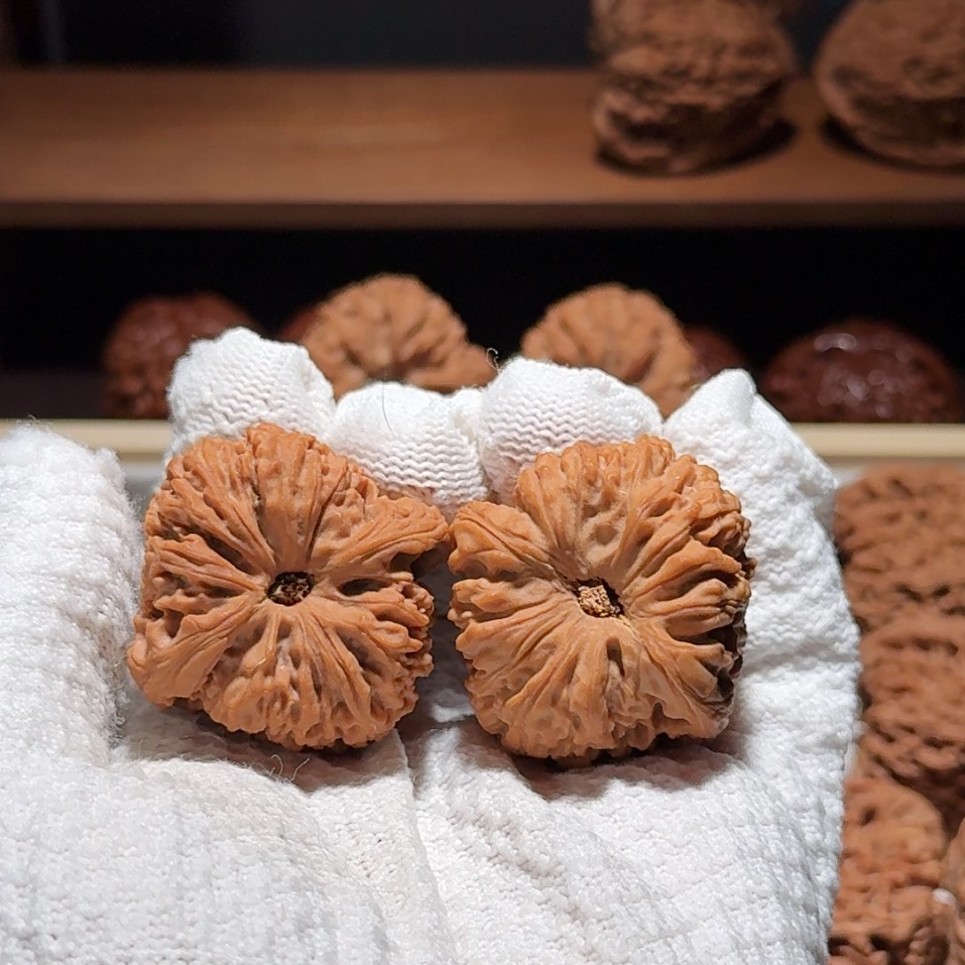 凉***尾文玩核桃把件团子凹底