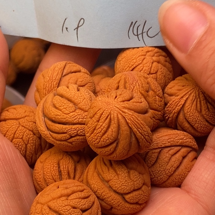 手串文玩核桃秦岭龙龙纹桃核19尺寸