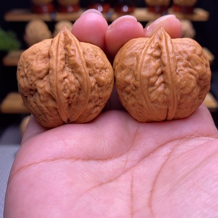 木质类云铁白羊生命6号37尺