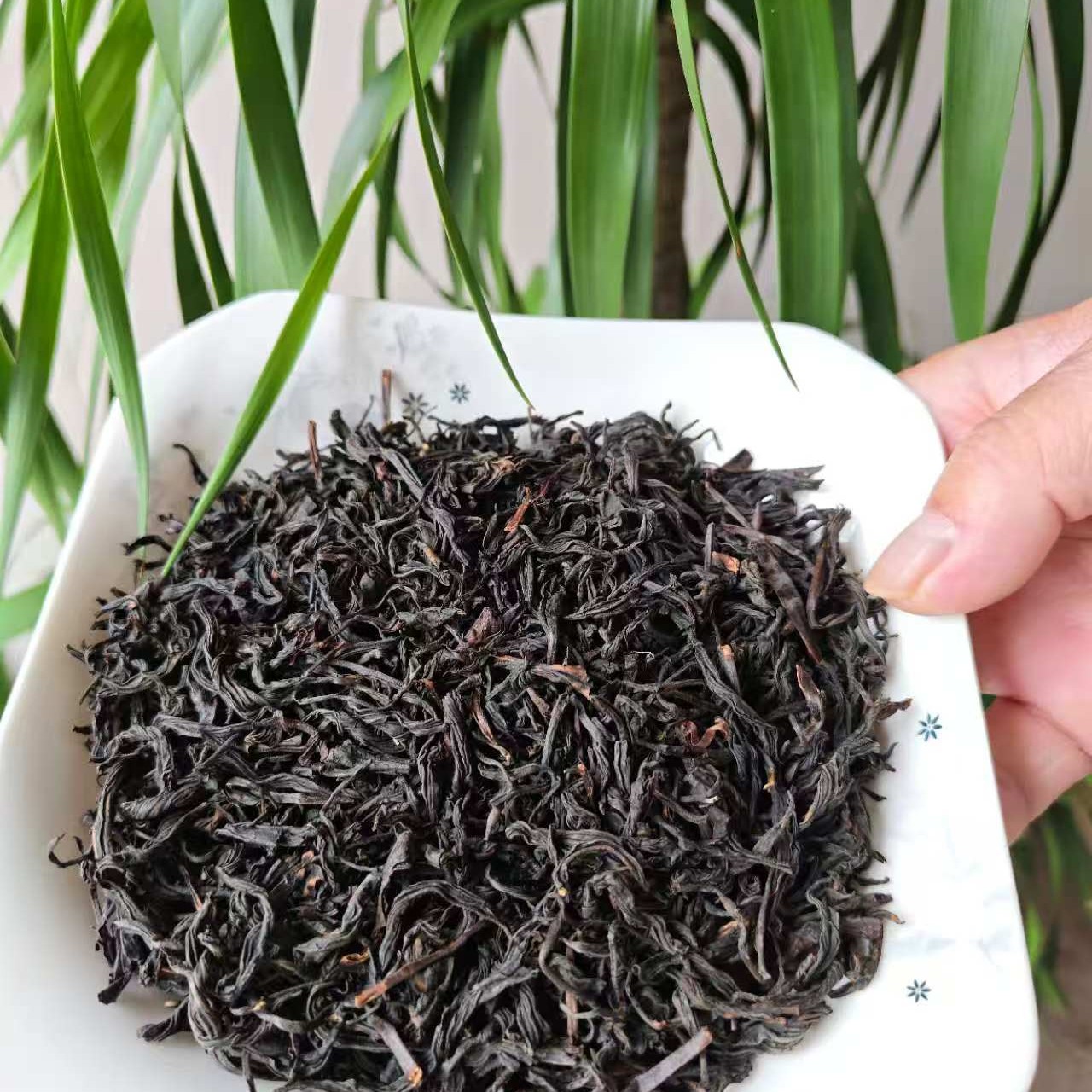 正山小种拍一斤送半斤