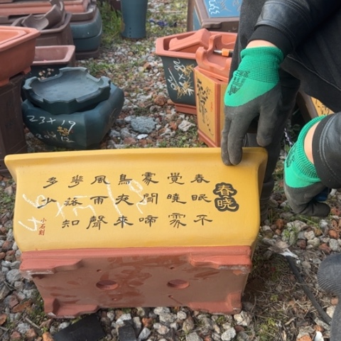 红陶紫砂花盆盆景盆栽