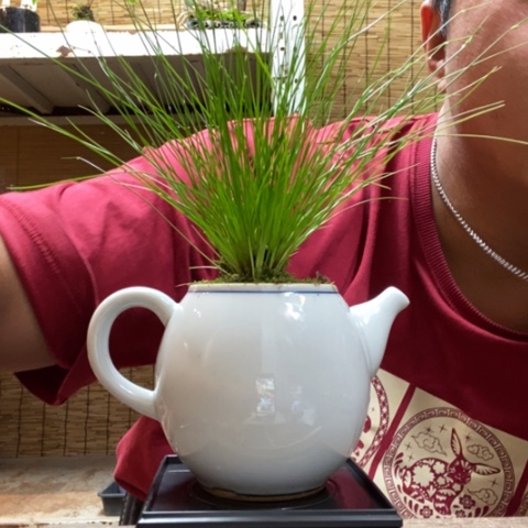 红陶一物一拍所见即所得101