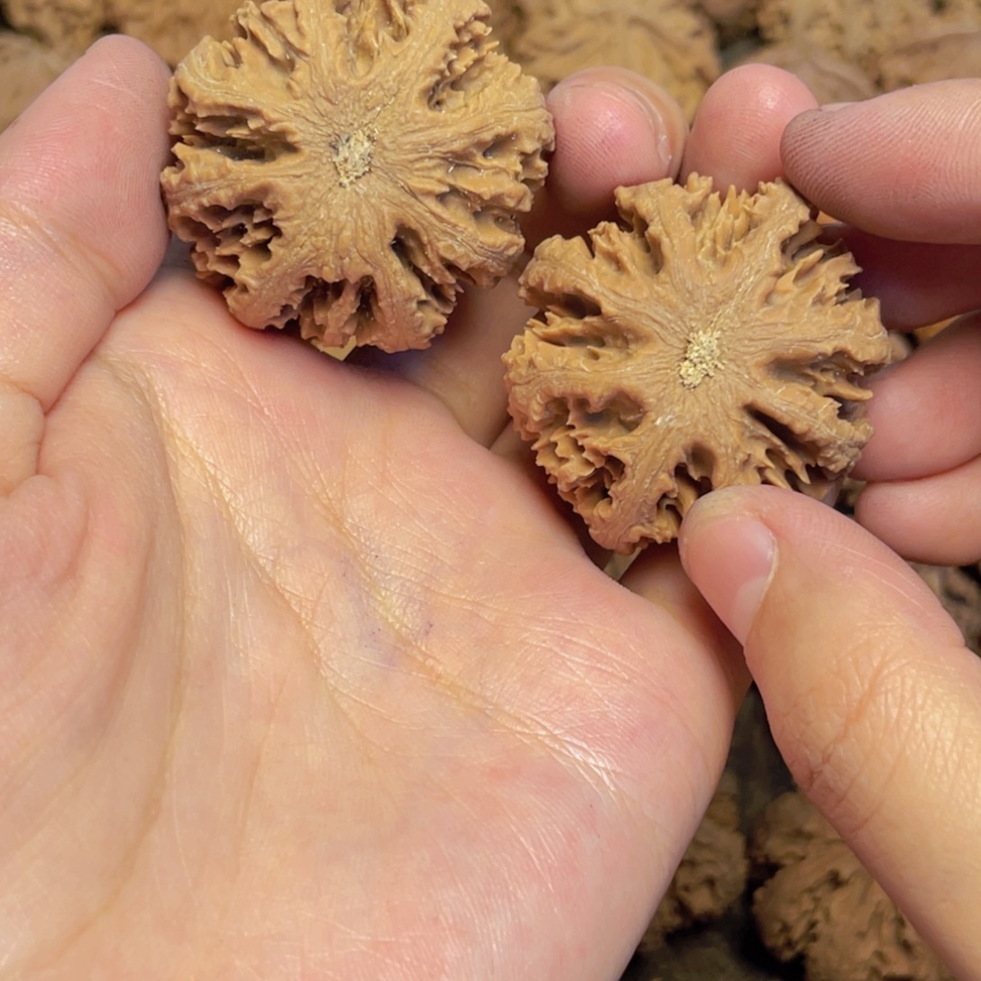 -***5桃核把件27秦岭灯笼野生小众