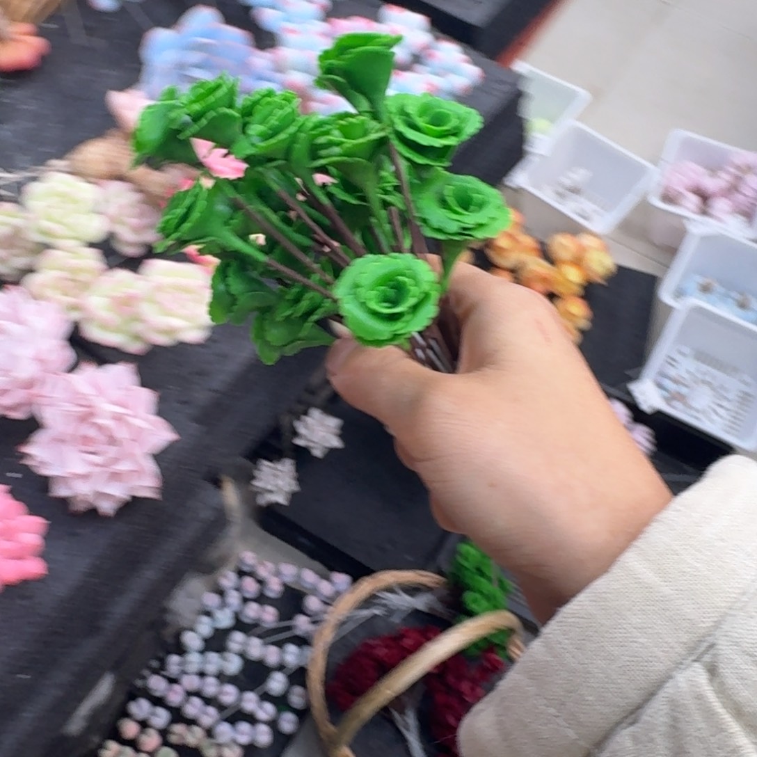 树脂2号5支莫莫莫