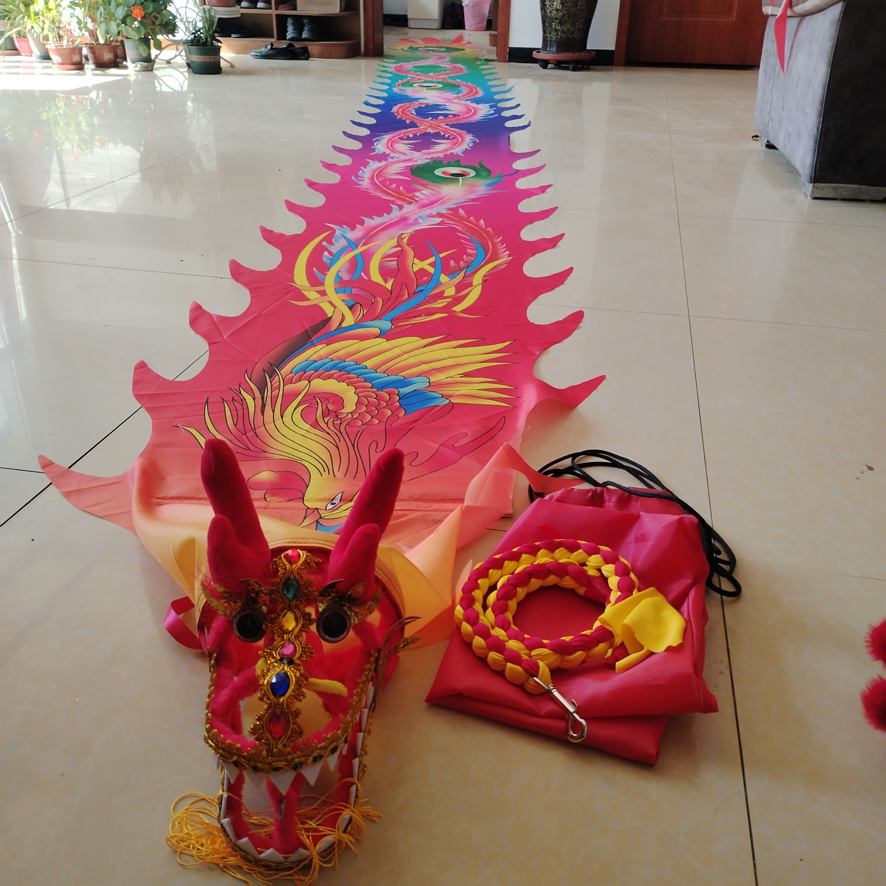 广场健身舞龙道具彩带龙舞龙彩带钢架龙头彩绸设计中老年表演用品