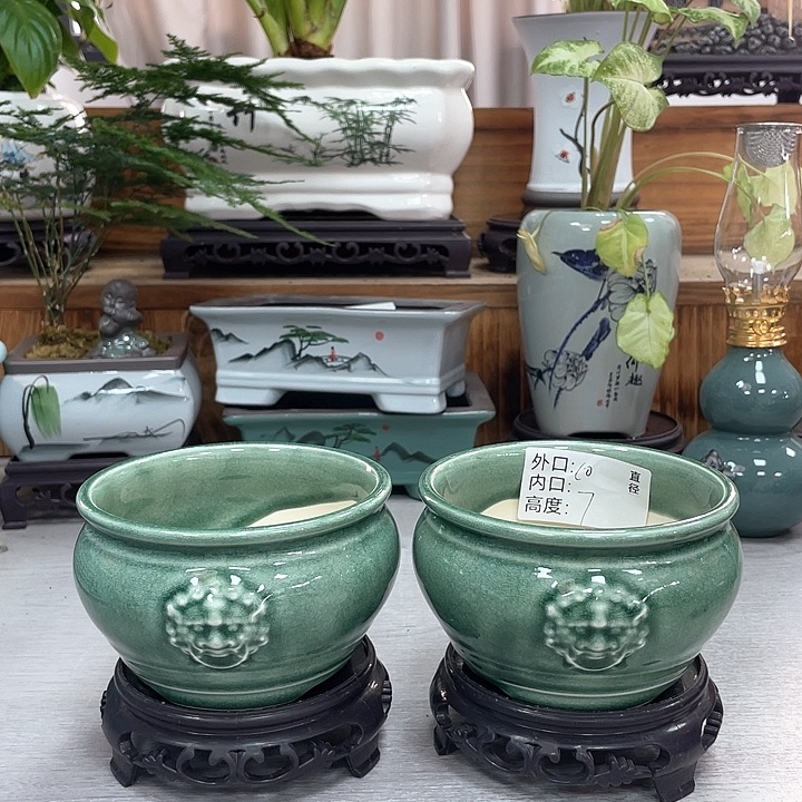 花盆花盆抢购福利