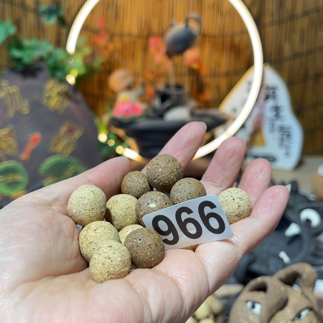 木村信弘柴烧保平