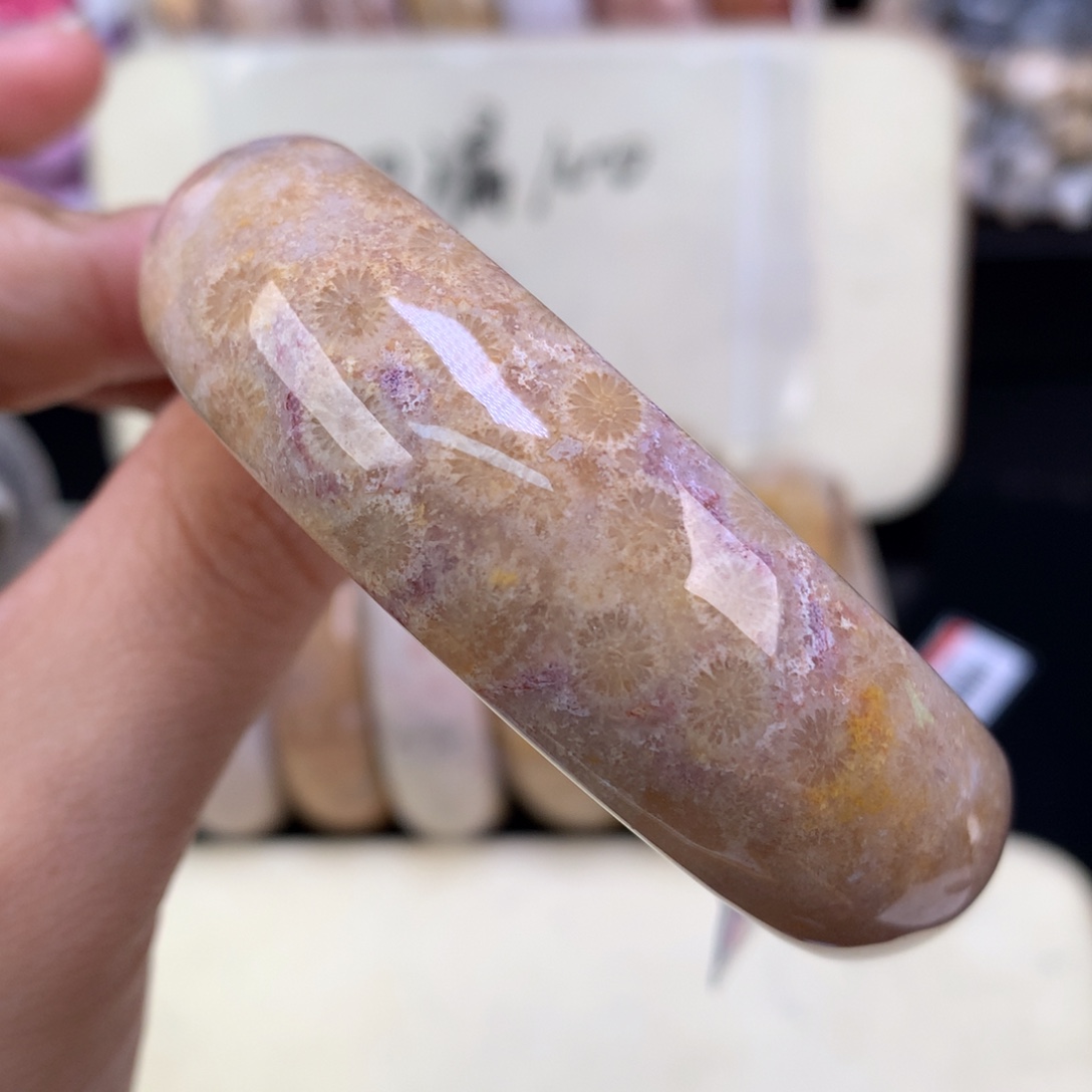 硅化珊瑚（珊瑚玉）未镶嵌吊坠(赠链)（19号）五折手镯57圈