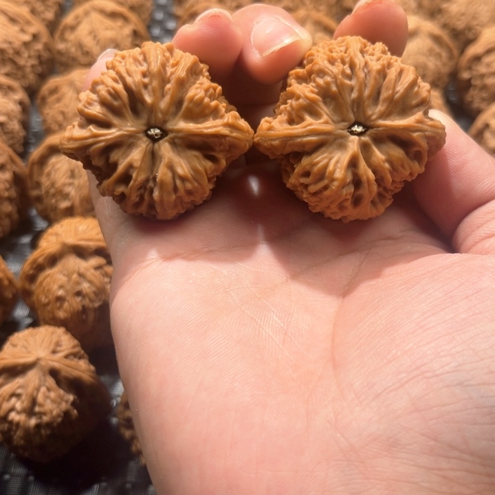 酒**醺南疆石42尺南疆