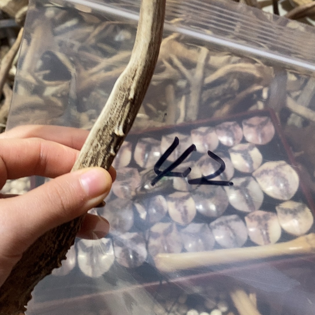 真***诚非金属鹿角鹿角鹿角