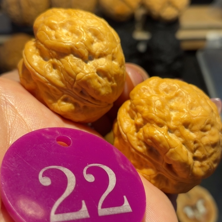 金蟾十八包尺寸36