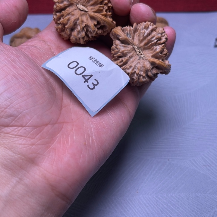 文玩核桃把件43满天星