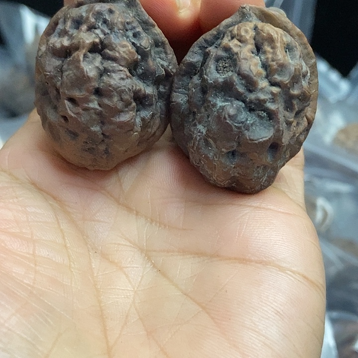 把件文玩核桃云南铁核桃基地20