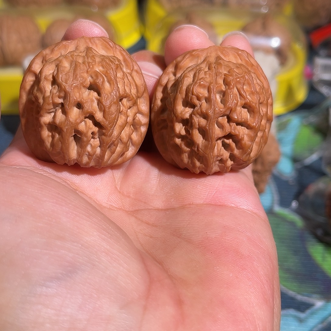 核桃老树太行雪狮38全品