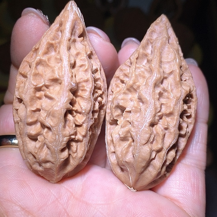 文玩核桃把件东北野生楸子小美54