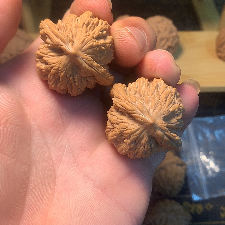 B****大叶紫檀（黑酸枝木类）