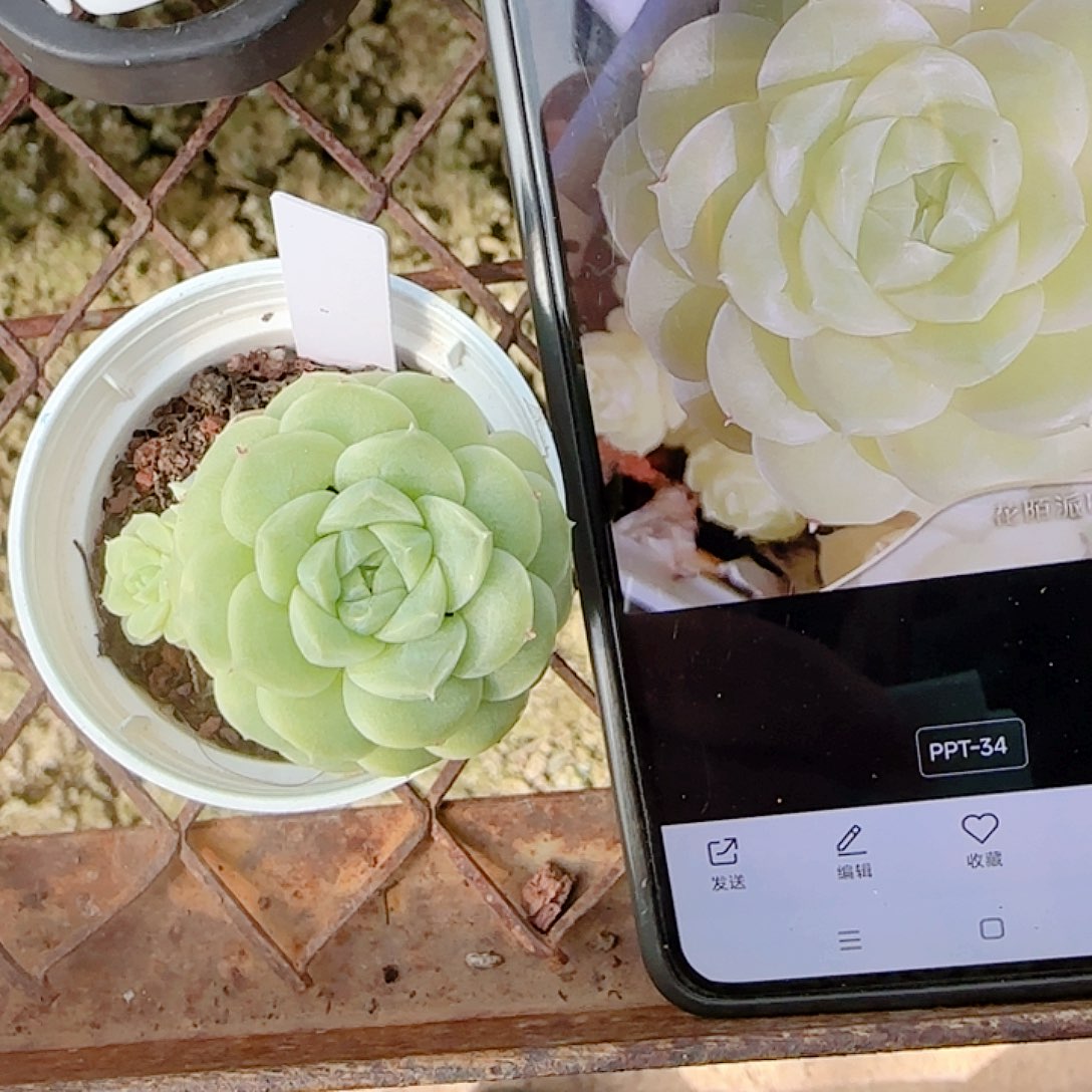 安****1126-59（ppt-34）专拍