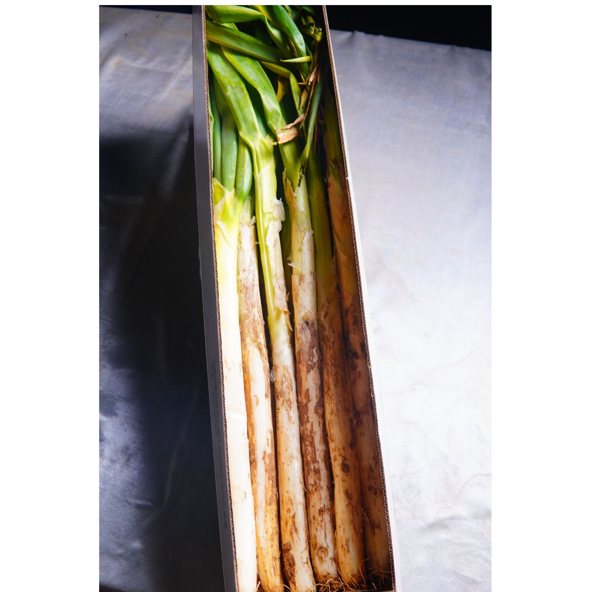 魏李四季正宗章丘大葱-冬储毛葱