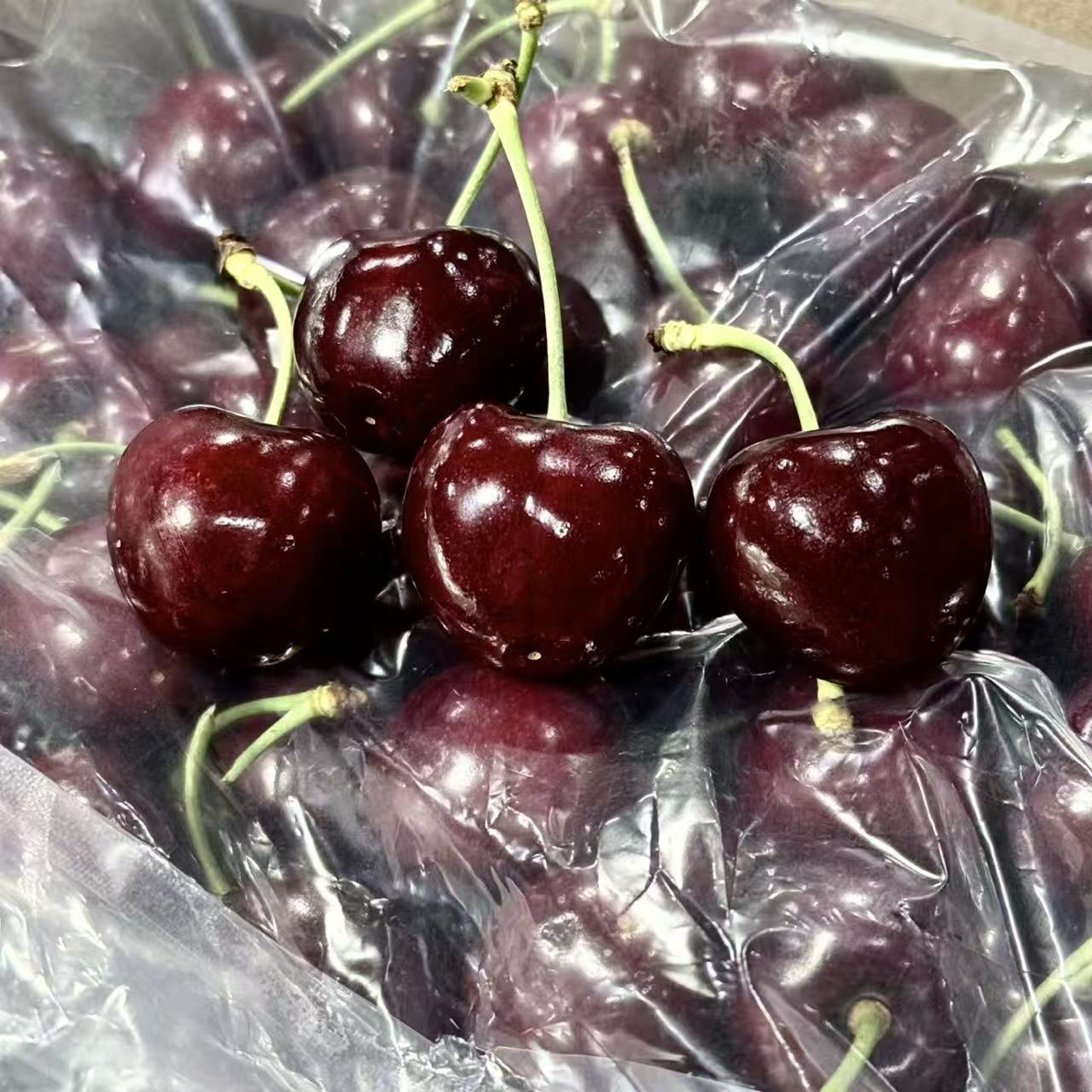 3J车厘子-海浪智利进口5斤装-加黑加大空运桑提娜智利智利