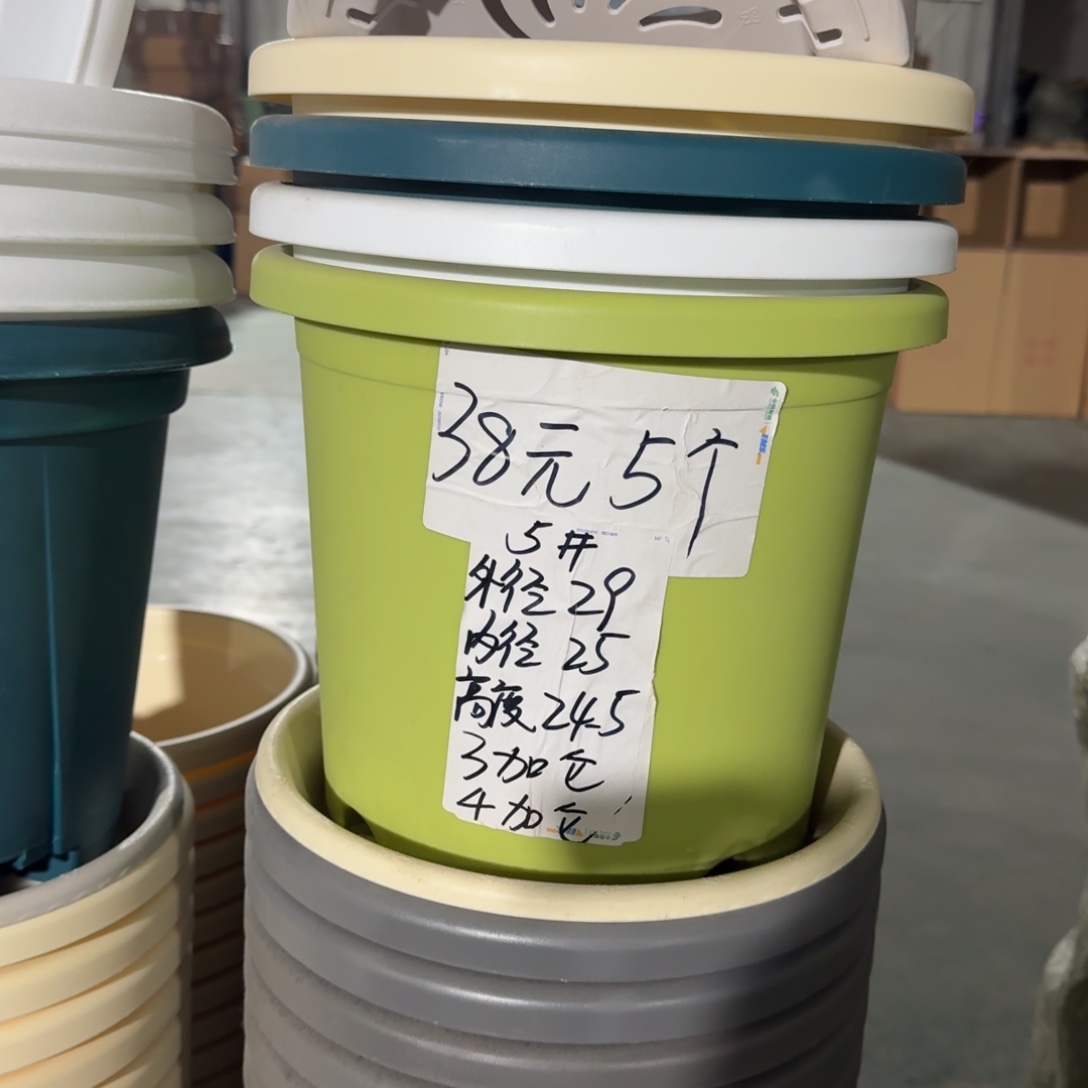 四季5#口径29无拖纯白10个