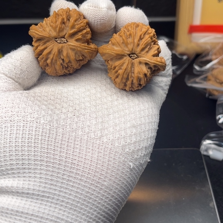 胖***子文玩核桃吊坠198南疆