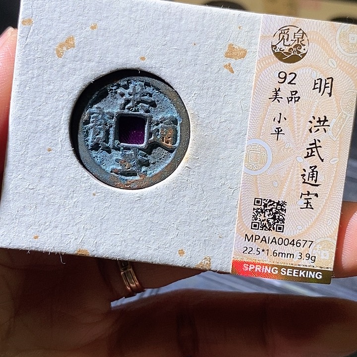 铜洪武。华夏天玺总店677