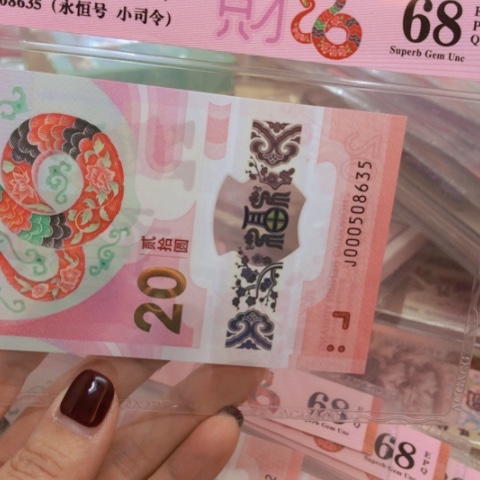 塑料000508635小司令———————-