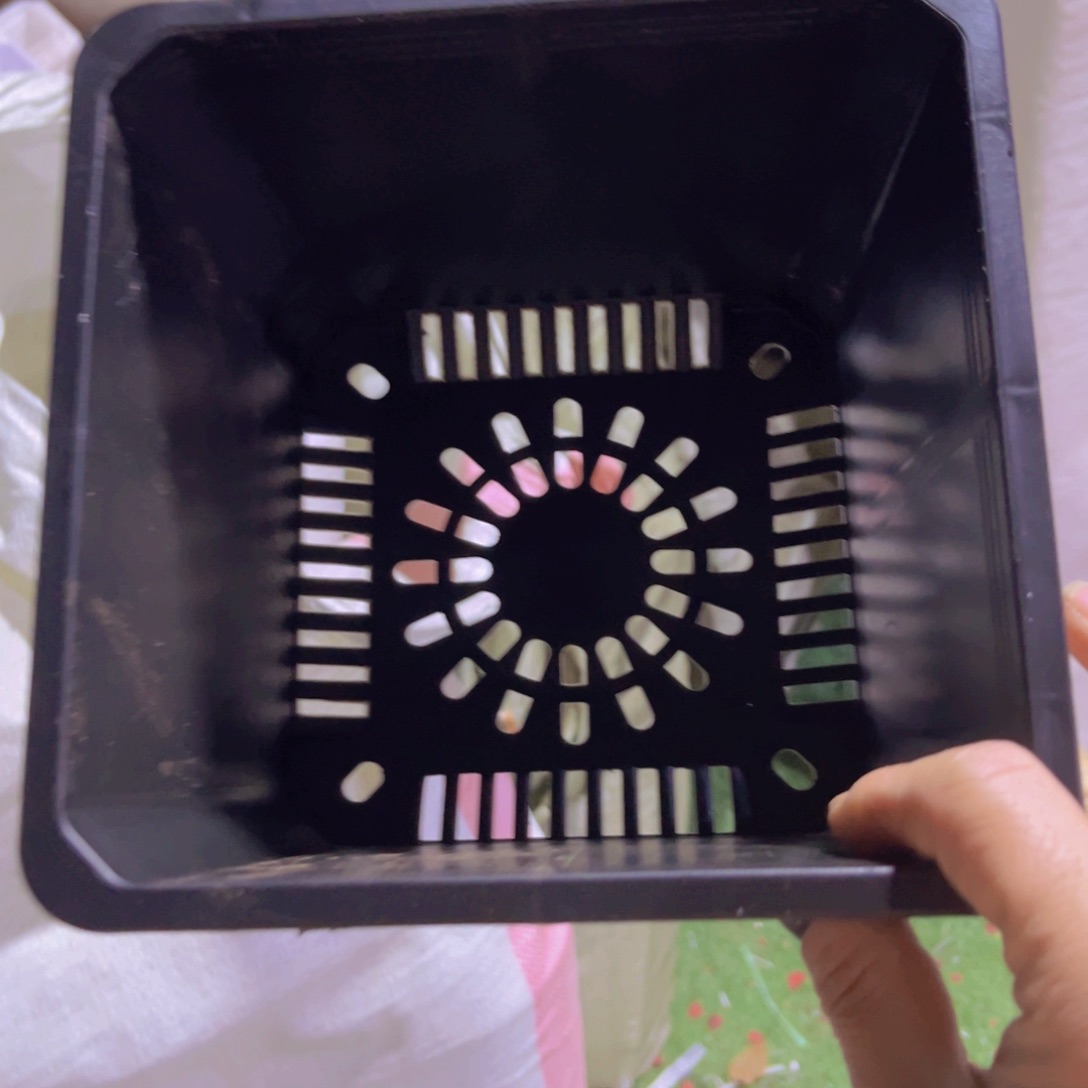 塑料18公分黑方盆15个