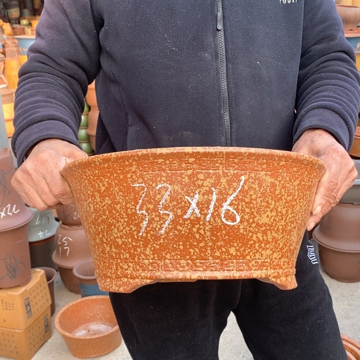 紫砂花盆盆栽花卉苗木种植