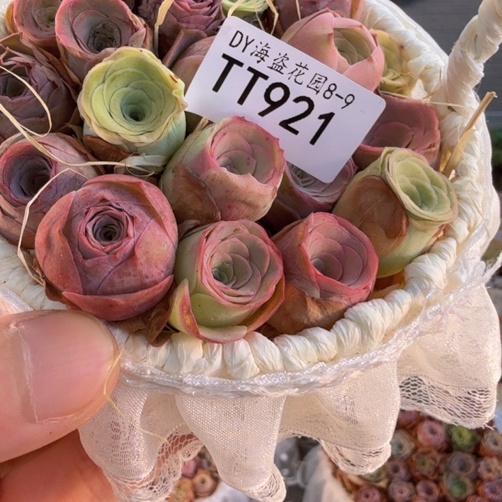 TT921 蕾丝花篮玫瑰组合