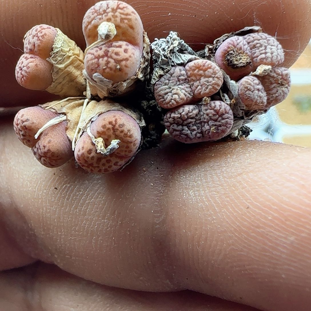 周六晚上愉快40200