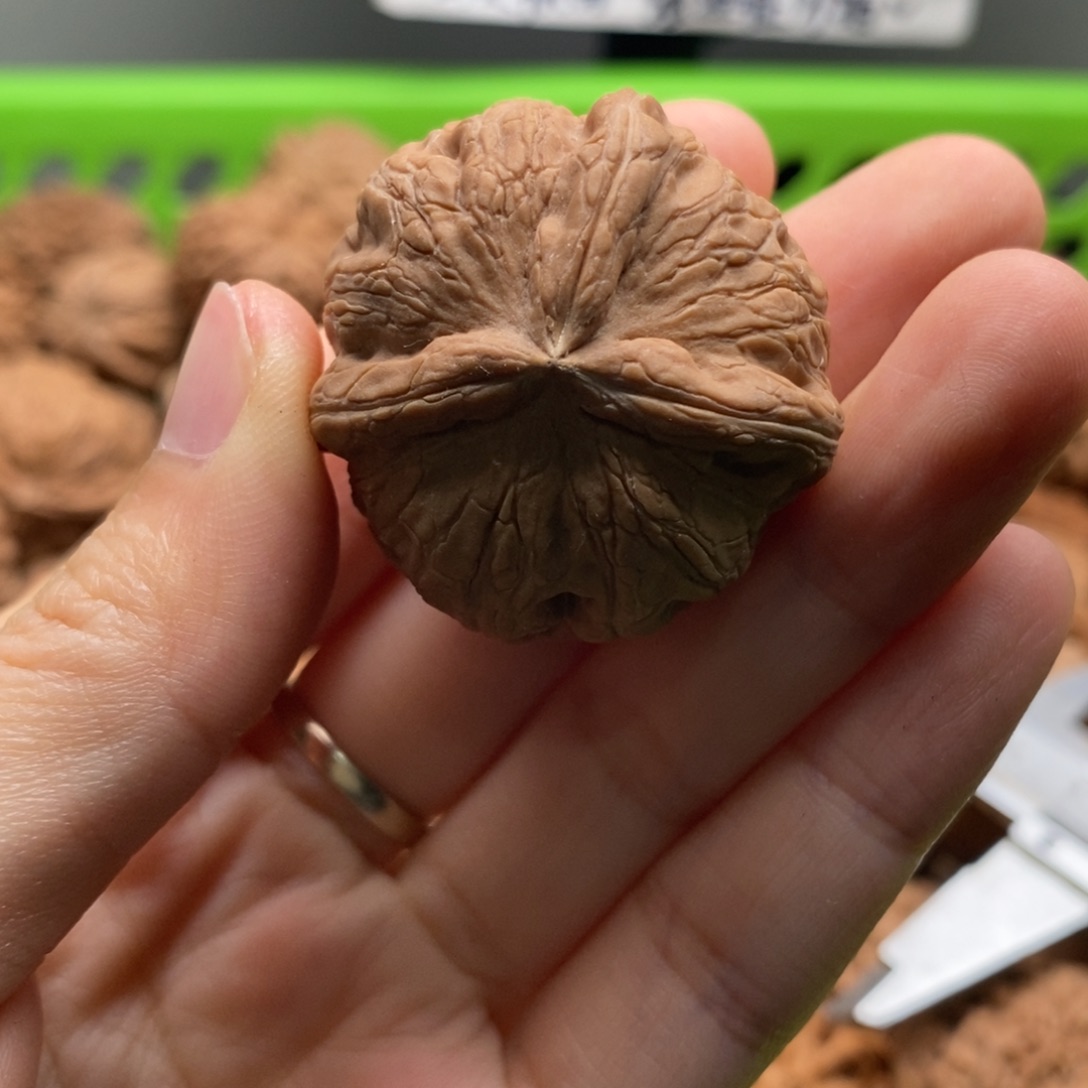 ****饭核桃定制商品不退不换