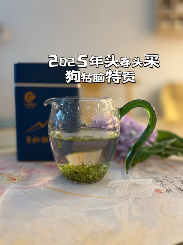 2025年江西遂川狗牯脑绿茶新茶特贡