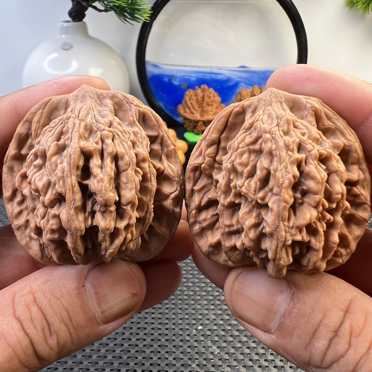 文玩核桃全品麦穗虎头46尺寸