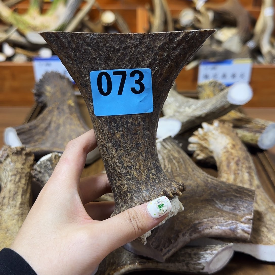 鹿骨手串/手链弹弓073 长12 弓11 柄3.7