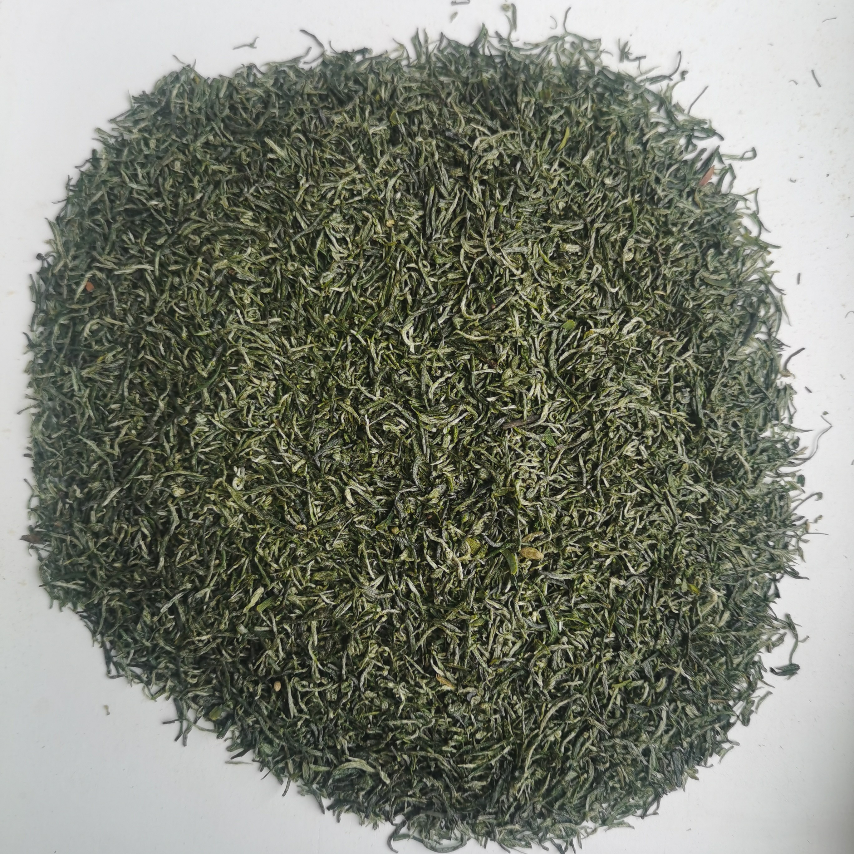 2025年新茶四川毛尖小芽断尖风针（介意碎末茶勿拍）